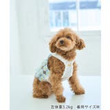 【DOG】フラワーキャミソール | ROPE' PICNIC | 詳細画像6 