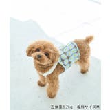 【DOG】フラワーキャミソール | ROPE' PICNIC | 詳細画像7 