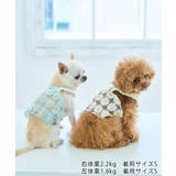 【DOG】フラワーキャミソール | ROPE' PICNIC | 詳細画像8 