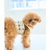 ホワイト系(11) | 【DOG】フラワーキャミソール | ROPE' PICNIC