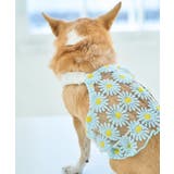 サックス(48) | 【DOG】フラワーキャミソール | ROPE' PICNIC