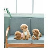 【DOG】マルチボーダーキャミソール | ROPE' PICNIC | 詳細画像10 