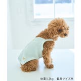 【DOG】マルチボーダーキャミソール | ROPE' PICNIC | 詳細画像2 