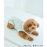 【DOG】マルチボーダーキャミソール | ROPE' PICNIC | 詳細画像3 