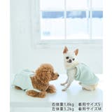 【DOG】マルチボーダーキャミソール | ROPE' PICNIC | 詳細画像4 