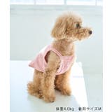 【DOG】マルチボーダーキャミソール | ROPE' PICNIC | 詳細画像5 