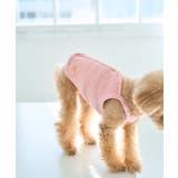 【DOG】マルチボーダーキャミソール | ROPE' PICNIC | 詳細画像6 