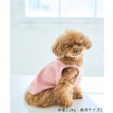【DOG】マルチボーダーキャミソール | ROPE' PICNIC | 詳細画像8 