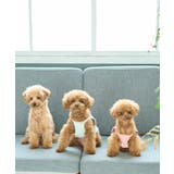 【DOG】マルチボーダーキャミソール | ROPE' PICNIC | 詳細画像9 