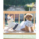 【DOG】チェック柄浴衣 | ROPE' PICNIC | 詳細画像1 