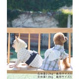 【DOG】チェック柄浴衣 | ROPE' PICNIC | 詳細画像10 