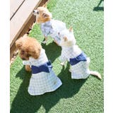 【DOG】チェック柄浴衣 | ROPE' PICNIC | 詳細画像11 