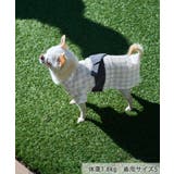 【DOG】チェック柄浴衣 | ROPE' PICNIC | 詳細画像2 