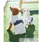 【DOG】チェック柄浴衣 | ROPE' PICNIC | 詳細画像5 
