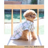 【DOG】チェック柄浴衣 | ROPE' PICNIC | 詳細画像6 