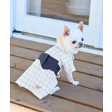 ホワイト系(11) | 【DOG】チェック柄浴衣 | ROPE' PICNIC