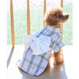 ラベンダー系(53) | 【DOG】チェック柄浴衣 | ROPE' PICNIC