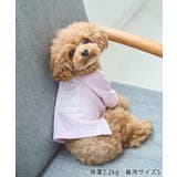 【DOG】ロゴTシャツ/リンクコーデ | ROPE' PICNIC | 詳細画像3 