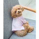 ピンク(63) | 【DOG】ロゴTシャツ/リンクコーデ | ROPE' PICNIC