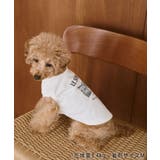 【DOG】マウンテンプリントタンクトップ/リンクコーデ | ROPE' PICNIC | 詳細画像6
