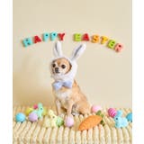 【DOG】イースターうさぎ犬 | ROPE' PICNIC | 詳細画像1