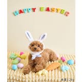 【DOG】イースターうさぎ犬 | ROPE' PICNIC | 詳細画像2