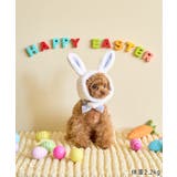 【DOG】イースターうさぎ犬 | ROPE' PICNIC | 詳細画像4