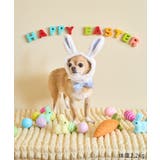 【DOG】イースターうさぎ犬 | ROPE' PICNIC | 詳細画像5