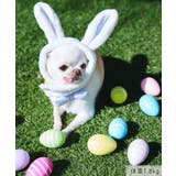 【DOG】イースターうさぎ犬 | ROPE' PICNIC | 詳細画像6
