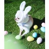 【DOG】イースターうさぎ犬 | ROPE' PICNIC | 詳細画像7