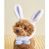 オフホワイト(15) | 【DOG】イースターうさぎ犬 | ROPE' PICNIC