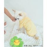 【DOG】RENU/PHOTO＆LOGOTシャツ/リンクコーデ | ROPE' PICNIC | 詳細画像10 