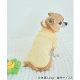 【DOG】RENU/PHOTO＆LOGOTシャツ/リンクコーデ | ROPE' PICNIC | 詳細画像11 