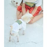 【DOG】RENU/PHOTO＆LOGOTシャツ/リンクコーデ | ROPE' PICNIC | 詳細画像14 