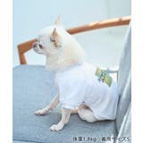 【DOG】RENU/PHOTO＆LOGOTシャツ/リンクコーデ | ROPE' PICNIC | 詳細画像2 