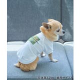 【DOG】RENU/PHOTO＆LOGOTシャツ/リンクコーデ | ROPE' PICNIC | 詳細画像3 