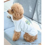 【DOG】RENU/PHOTO＆LOGOTシャツ/リンクコーデ | ROPE' PICNIC | 詳細画像4 