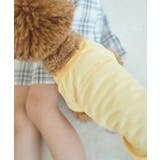 【DOG】RENU/PHOTO＆LOGOTシャツ/リンクコーデ | ROPE' PICNIC | 詳細画像7 