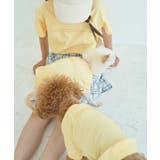 【DOG】RENU/PHOTO＆LOGOTシャツ/リンクコーデ | ROPE' PICNIC | 詳細画像8 