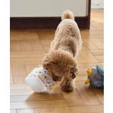 【DOG】birthday ギフトボックストイ | ROPE' PICNIC | 詳細画像3 