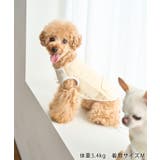 【DOG】保冷剤ポケット付きCOOLベスト | ROPE' PICNIC | 詳細画像10