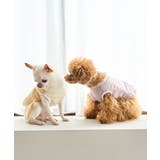 【DOG】保冷剤ポケット付きCOOLベスト | ROPE' PICNIC | 詳細画像12