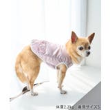 【DOG】保冷剤ポケット付きCOOLベスト | ROPE' PICNIC | 詳細画像2