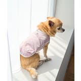 【DOG】保冷剤ポケット付きCOOLベスト | ROPE' PICNIC | 詳細画像3