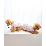 【DOG】保冷剤ポケット付きCOOLベスト | ROPE' PICNIC | 詳細画像7