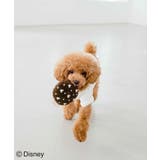 【DOG】【DISNEY /ディズニー】ミッキー/クッキートイ | ROPE' PICNIC | 詳細画像23