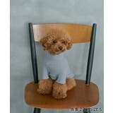 【DOG】カラーリブタートル | ROPE' PICNIC | 詳細画像14