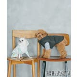 【DOG】カラーリブタートル | ROPE' PICNIC | 詳細画像16