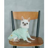 ライトグリーン(33) | 【DOG】カラーリブタートル | ROPE' PICNIC