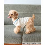 【DOG】チルデンニット/リンクコーデ | ROPE' PICNIC | 詳細画像4